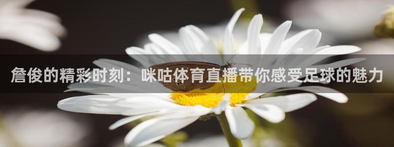 詹俊的精彩时刻：咪咕体育直播带你感受足球的魅力
