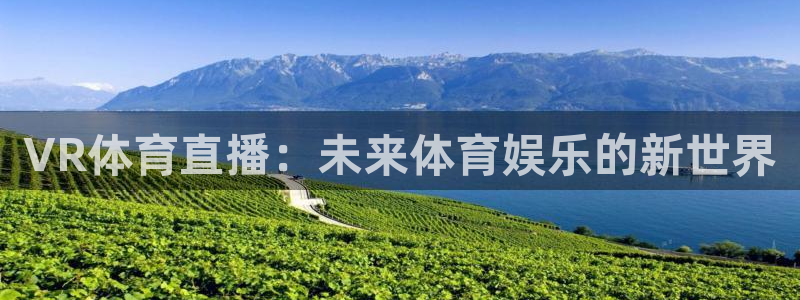 VR体育直播：未来体育娱乐的新世界