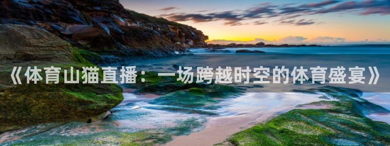 《体育山猫直播：一场跨越时空的体育盛宴》